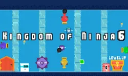 Kingdom of Ninja 6 image