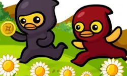 Ducky Adventure image