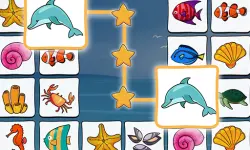 Connect Master image