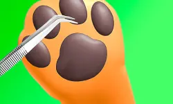 Paw Care image
