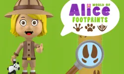 World of Alice Footprints image