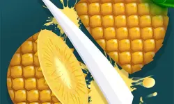 Fruit Slice Master image