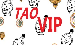 TaoVip image