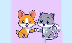 Cats and Dogs Puzzle image