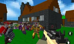 Best blocky Combat Arena 2020 image