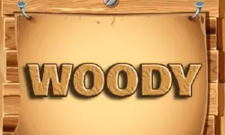image bg Woody Wood Block Puzzle