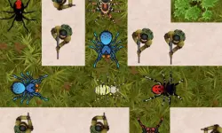 Spider Defense image
