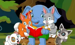 Cute Animal Memory image