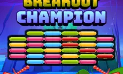 Breakout Champion image