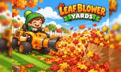 Leaf Blower Yards image