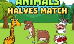 Animals Halves Match image