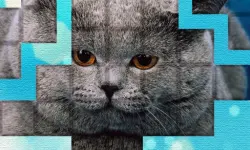 PicPu - Cat Puzzle image