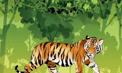 Angry Tiger Coloring image