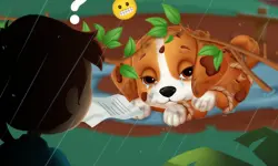 Lost Puppy Rescue and Care image