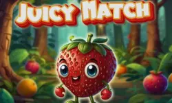 Juicy Match image