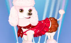 My Cute Dog Daisy image