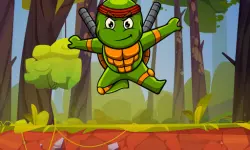 Turtle Ninja image
