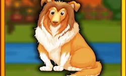 Bernese Mountain Dog Escape image