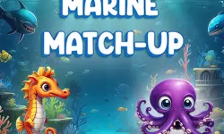 Marine Match Up image