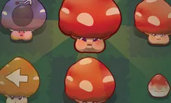 Mushroom Pop image