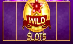 Wild Slot image