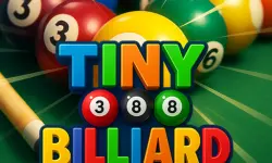 Tiny Billiard image