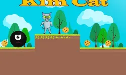 Kim Cat image
