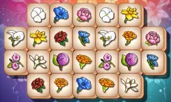 Blossom Link image