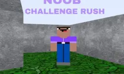 Noob Challenge Rush image