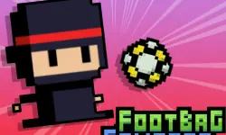 Footbag Fanatic image