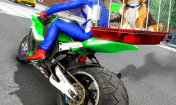 Motorcycle Pet Delivery image