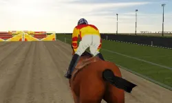 Horse Rider image