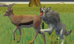 Wolf Life Simulator image