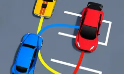 Car Parking Order! image