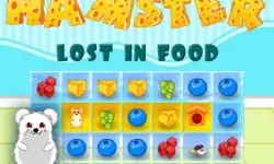Hamster Lost In Food image