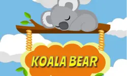 Koala Bear image