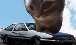 Car Stunt Chipi Chipi Chapa Chapa Cat image