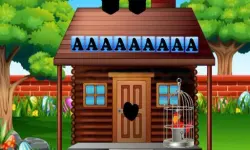 Rescue The Pirate Parrot image