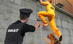 Prison Survive Break Escape image