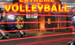 Extreme Volleyball image