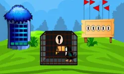 Rescue The Toucan image