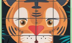 Puzzle Rotate Animals image