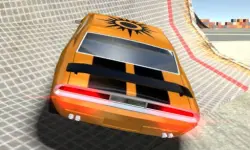 Autosimulator image