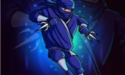Trained Ninja Puzzle image