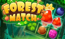 Forest Match image