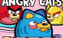 Angry Cats image