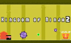 Kingdom of Ninja 2 image