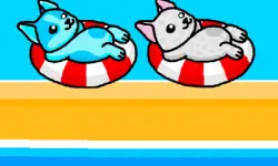 Aqua Dogy image