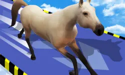 Animal Impossible Track Rush image