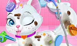 Baby Animals Pet Vet Care image